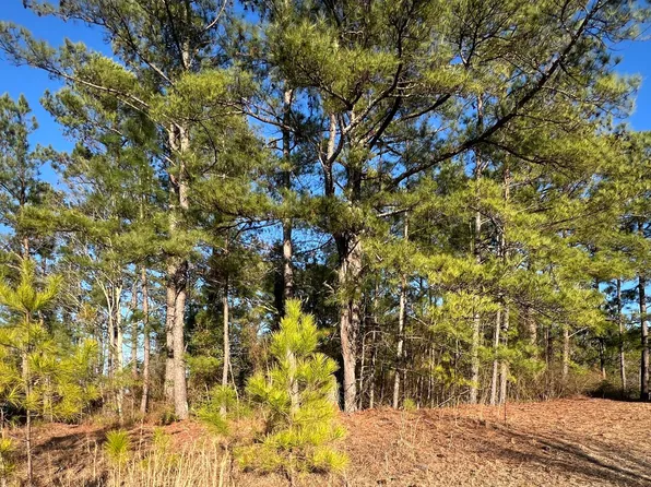 Tbd Mcintosh Road, Carthage, NC 28327