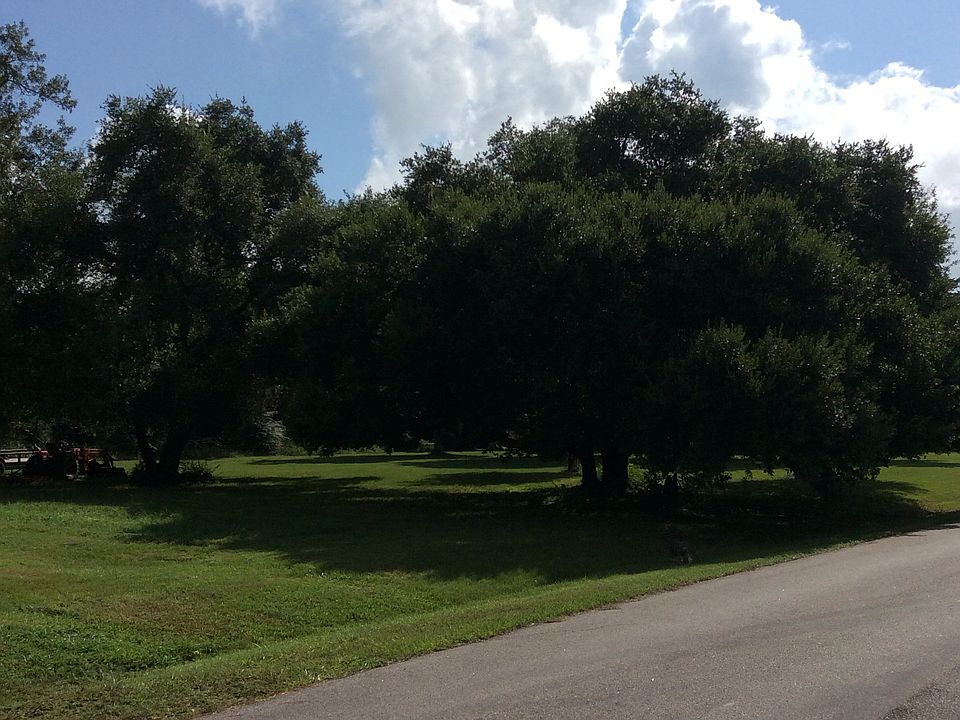 1st image of 31810 Ironwood Dr.