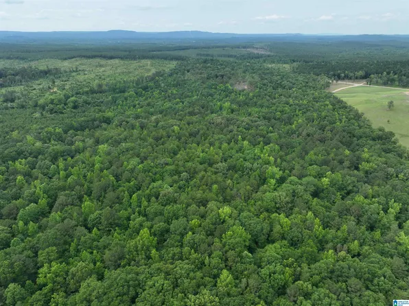 Jackson Farm Rd #2, Wilsonville, AL 35186