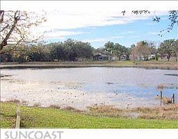 4th image of 11878 Lakewood Dr