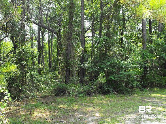 2nd image of 870 Heron Cove Ln