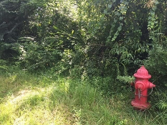 2nd image of 342 Monistere Ln