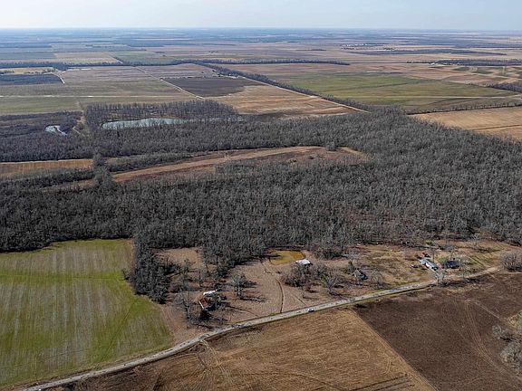 2nd image of 377 McPherson Rd