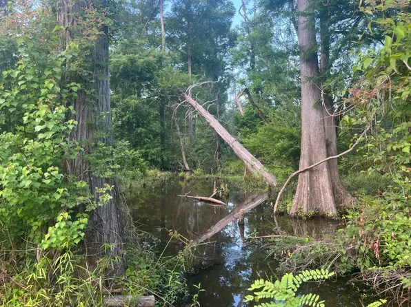 Sand Lake Rd, Merryville, LA 70653