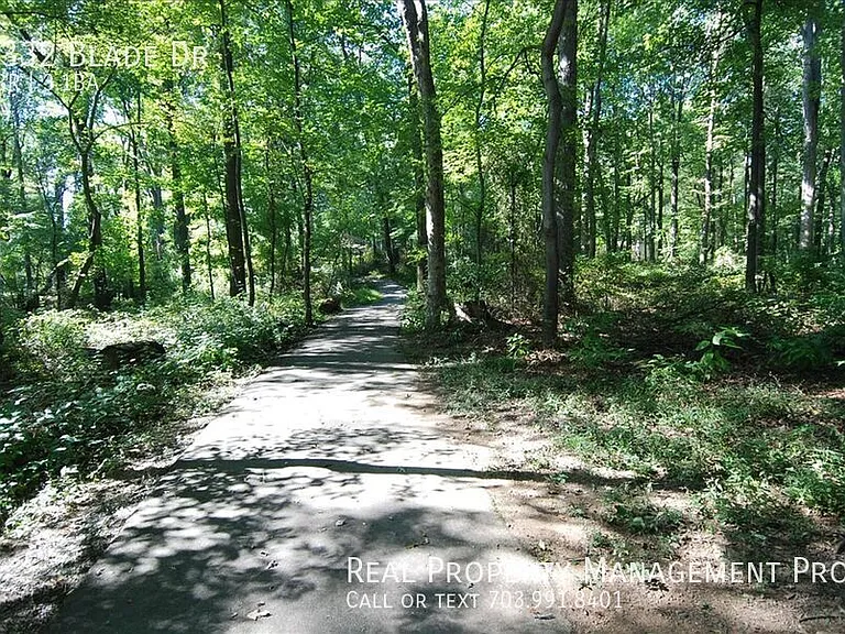 7332 Blade Dr — Photo 19
