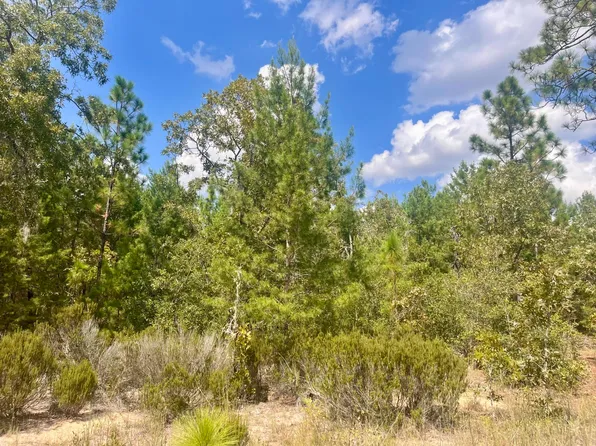 204 Glasgow Street, Interlachen, FL 32148