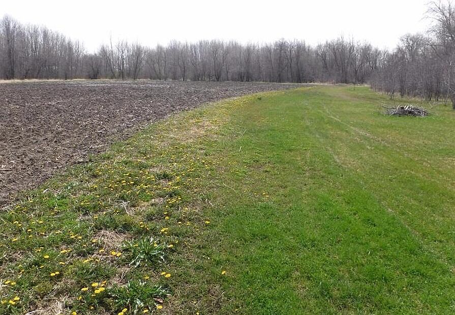 2nd image of 10701 Burlington ROAD