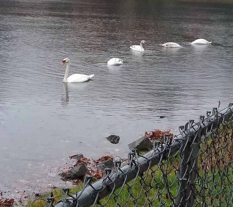Lake Hiawatha across street