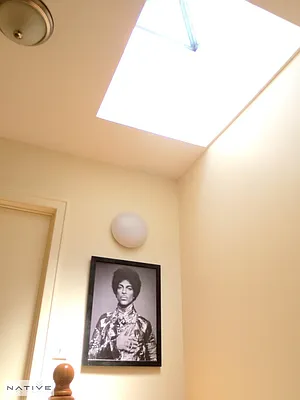 Rented by Native Real Estate LLC | media 21