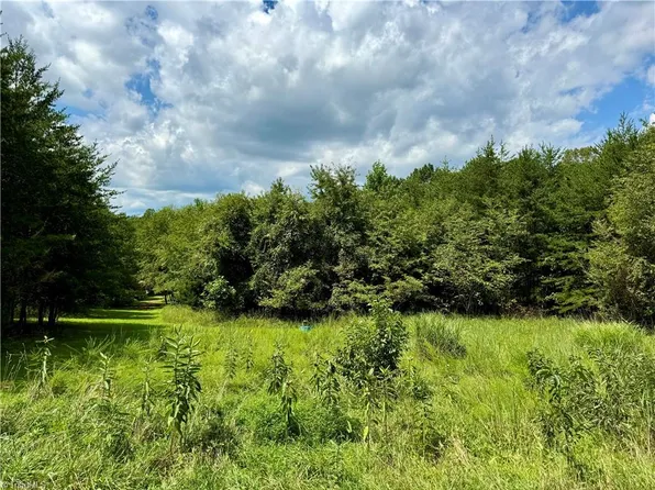 0 Renee Ln Lot 1, Westfield, NC 27053