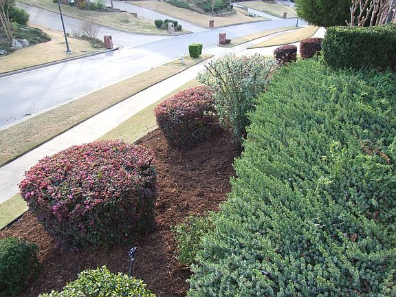 Landscaped frontyard