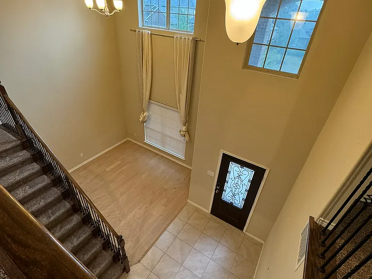 10020 Long Branch Dr — Photo 5