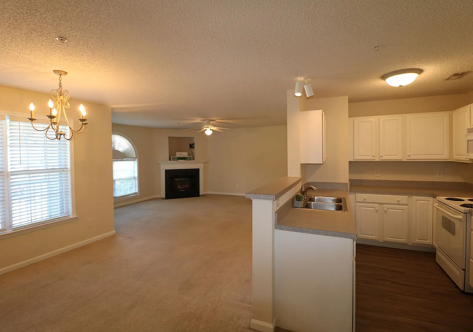 823 Scholastic Dr — Photo 2