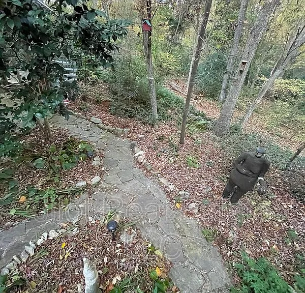 105 Dancing Fox Rd #B — Photo 13