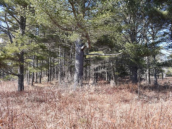 12 Fort Point Cove Rd, Stockton Springs, ME 04981 | Zillow