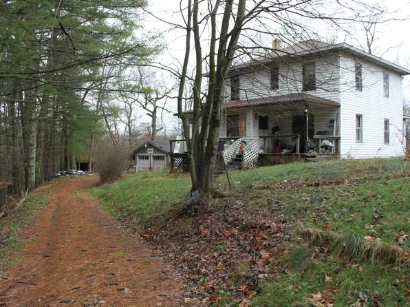 108 Lost Ln, Camden On Gauley, WV 26208