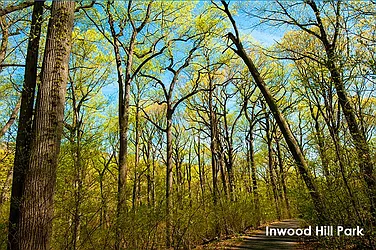 Sold by Bizzarro Agency