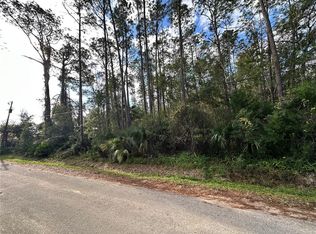 0 N Peach St LOT 8, Bunnell, FL 32110