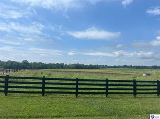 272 Thompson Rd, Rineyville, KY 40162