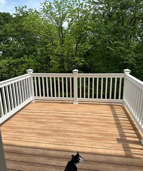 1725 Dandridge Ln — Photo 4