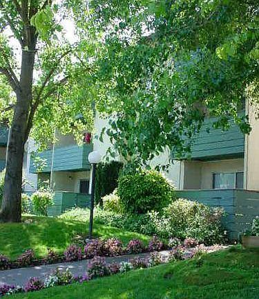 2nd image of 1424 Wake Forest Dr #218