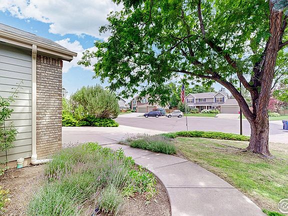4th image of 2406 Pine Needle Ct