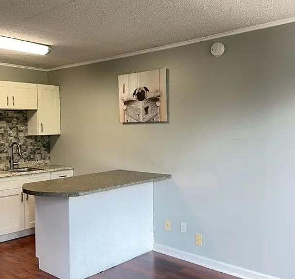 1700 Clinch Ave #414 — Photo 2