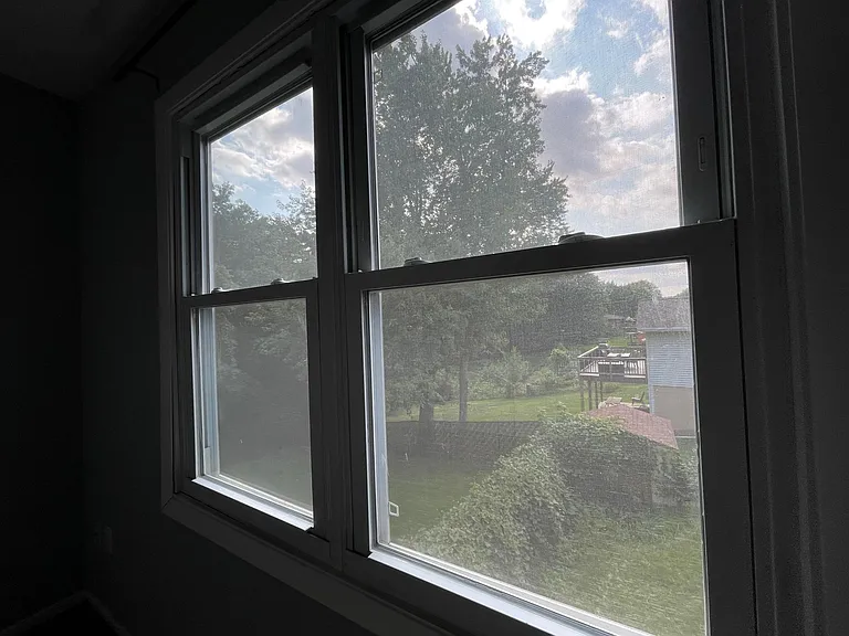 A view of wildlife from the upstairs 2nd bedroom. Frogs are singing during the summer months.