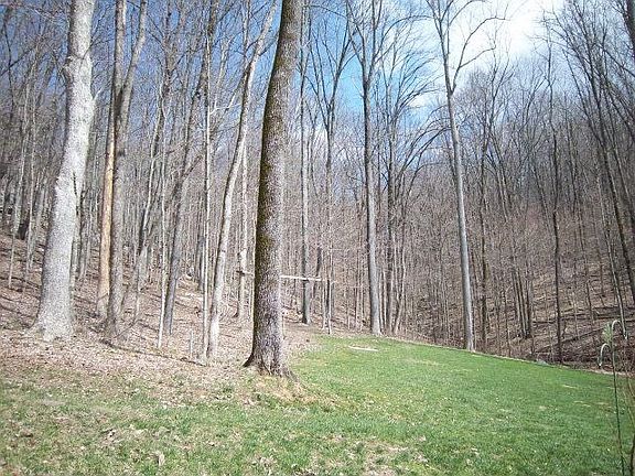 4th image of 1744 N Plantation Dr