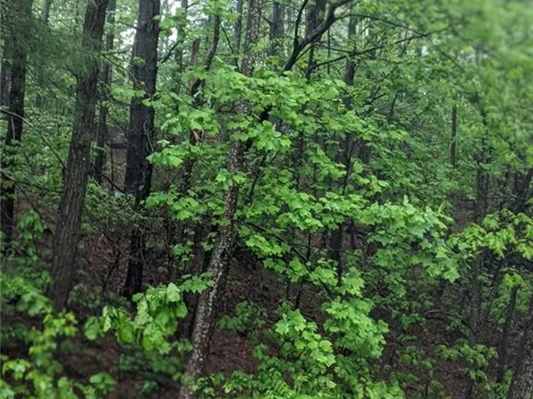 0 Melrose Mountain Rd #513, Tryon, NC 28782