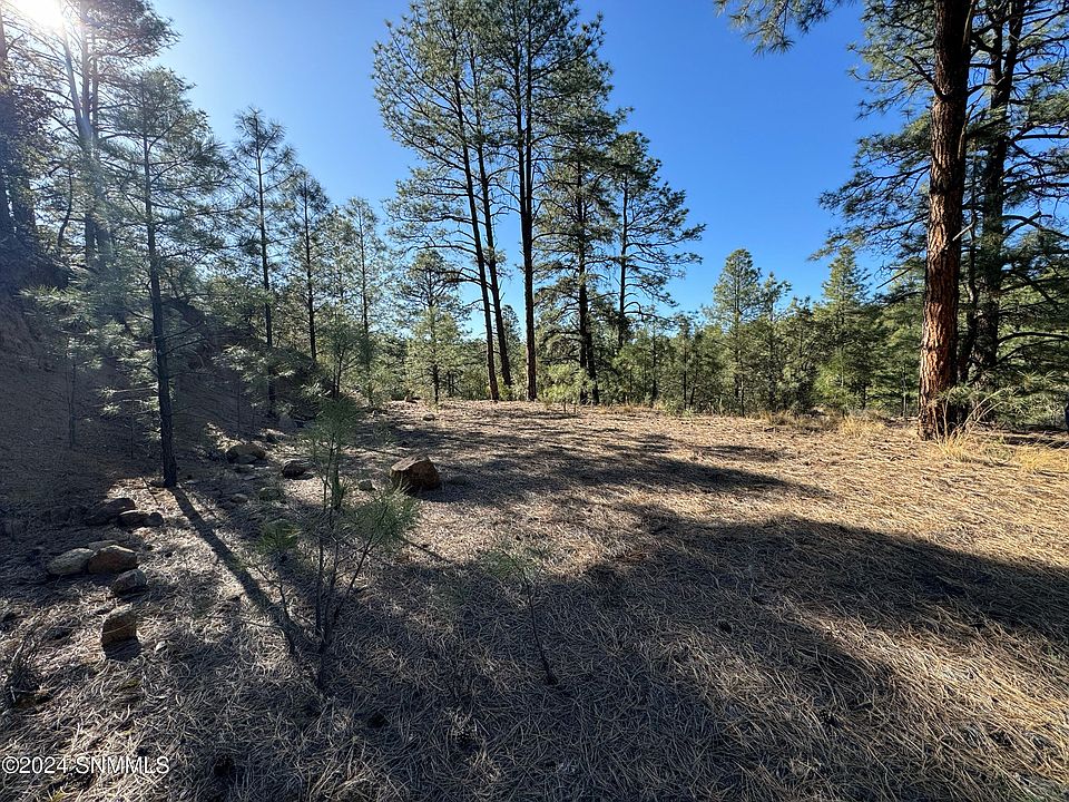 26 Happy Trl, Pinos Altos, NM 88053 MLS 2401062 Zillow