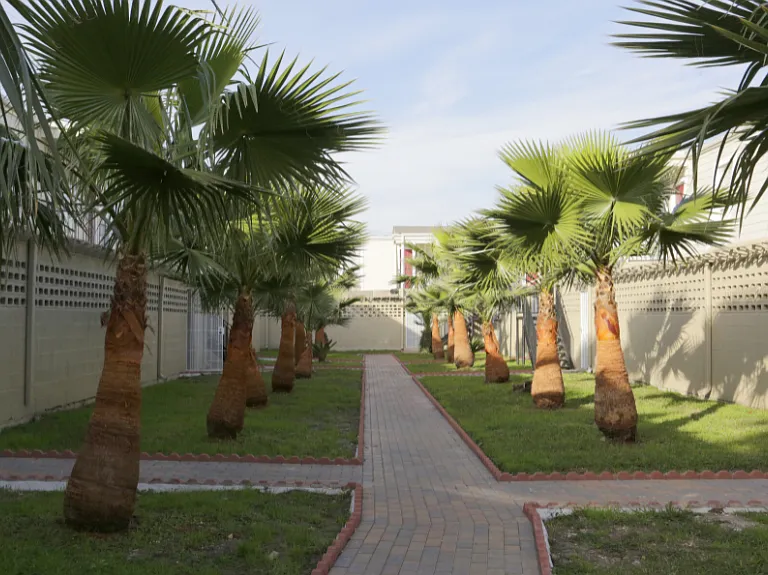 Miami Gardens — Photo 13