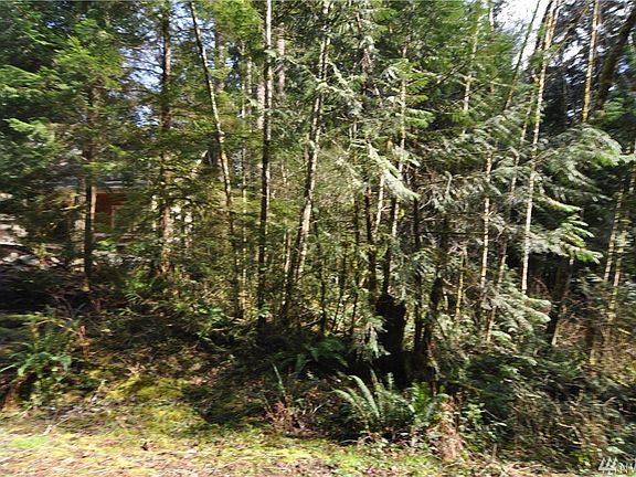 3rd image of 17 Pinto Creek Ln