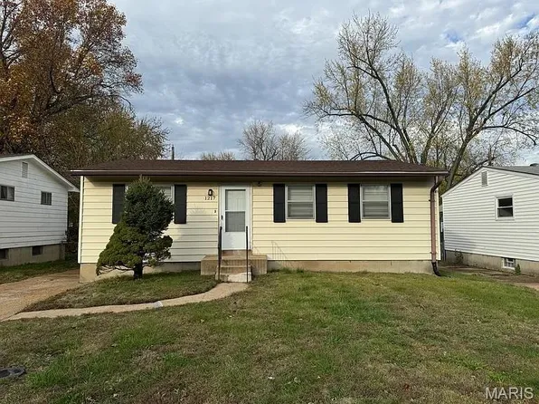 1217 Scott Ave, Saint Louis, MO 63138