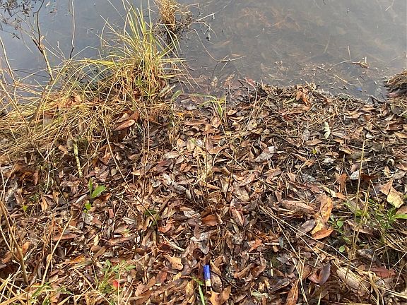 3rd image of 415 Lessie Culpepper Rd