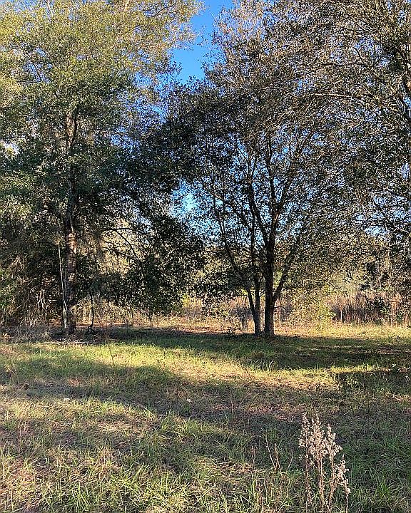 Back of property