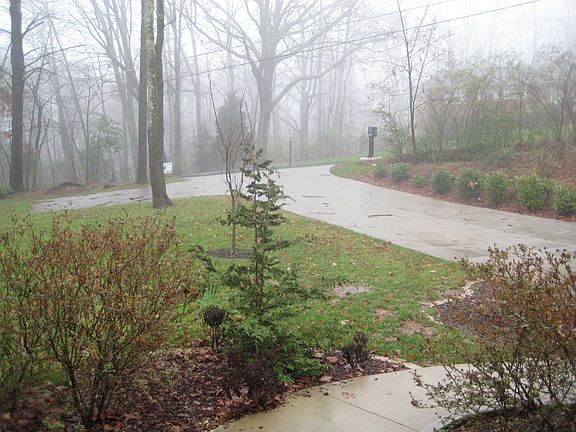 Front yard faces non through street