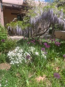 7B Arbol Grande, Santa Fe, NM, 87506