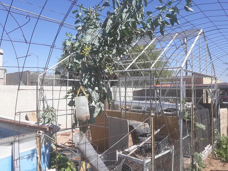 10x16 greenhouse to be covered in lexan this fall.
