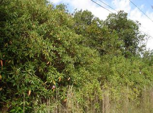 Lewa Nuu St, Hilo, HI 96720