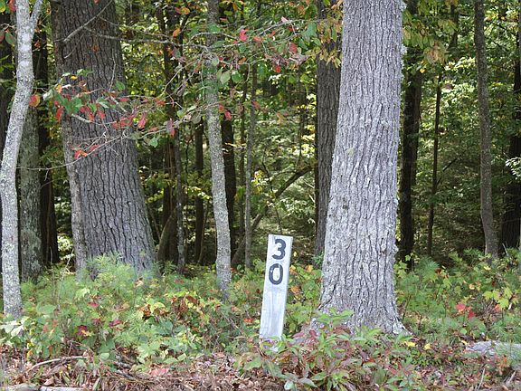 5th image of Lots 30 31 & 32 Linkwood Ln