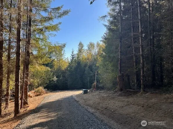 0 Misty Hill Drive #1 & 2, Toutle, WA 98649