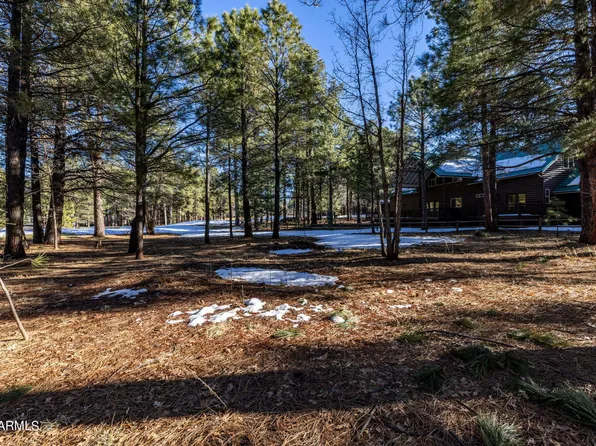 3351 W SOARING EAGLE Way #47, Pinetop, AZ 85935