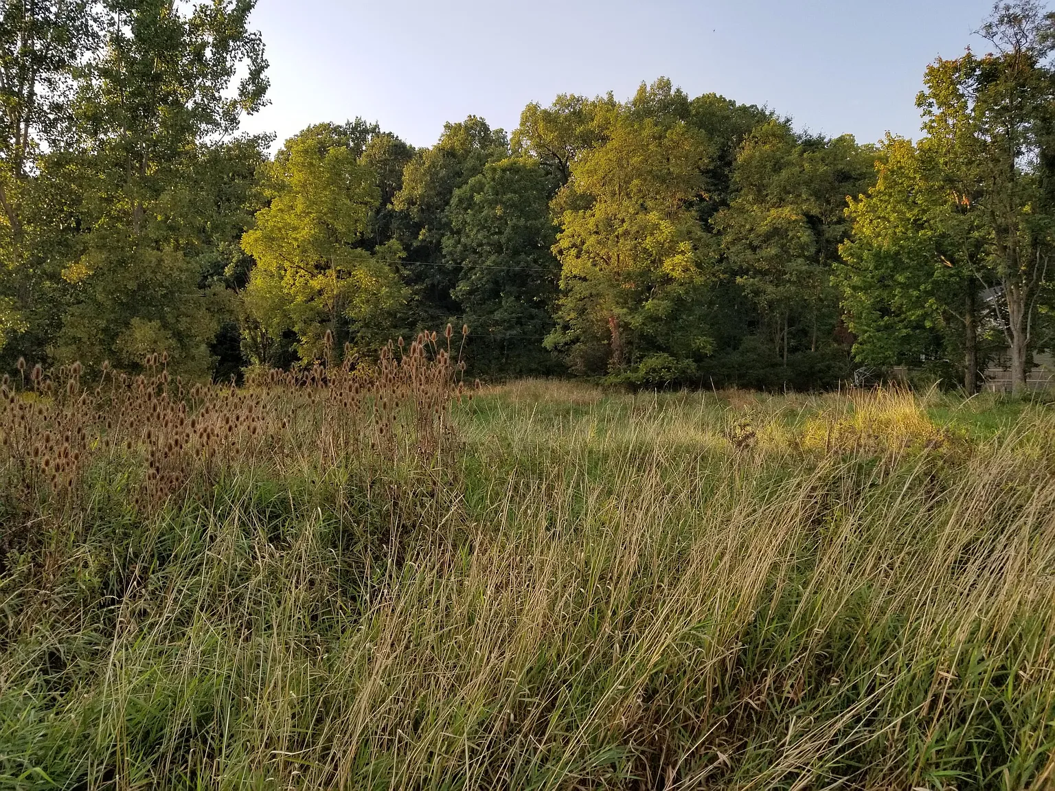 7000 Surrey Dr photo 1