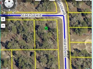 Sea Eagle Ave, Weeki wachee, FL 34614