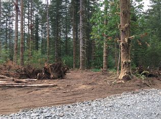 1 Yale Bridge Rd #1, Ariel, WA 98603