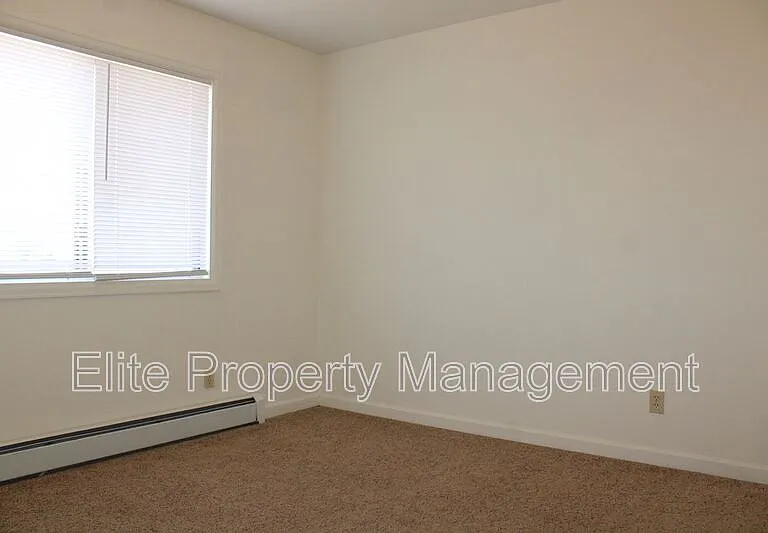 208 W Palmer Lake Dr — Photo 10