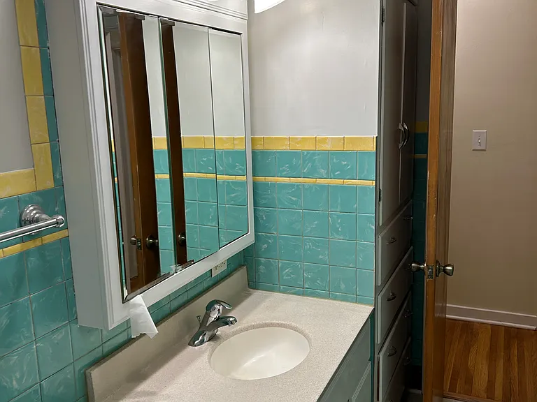 BATHROOM VANITY - Bathroom flooring is being changed to wood plank flooring.