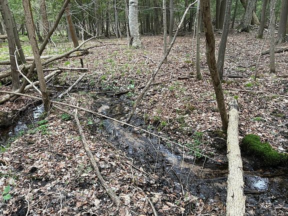 5th image of W Shelby Rd