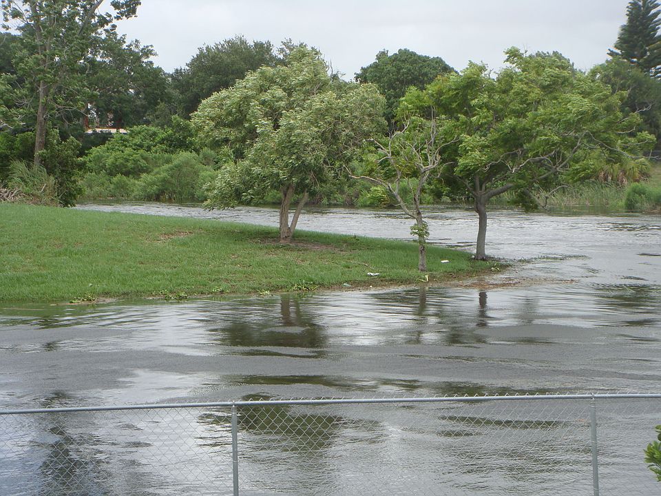 creek after rain